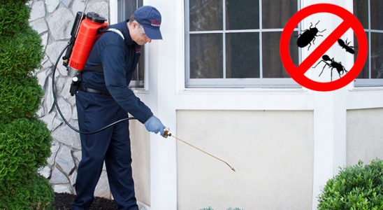 İspir Hamam Böceği İlaçlama böcek ilaçlama ve haşere kontrolü — ilaclama-tr.com